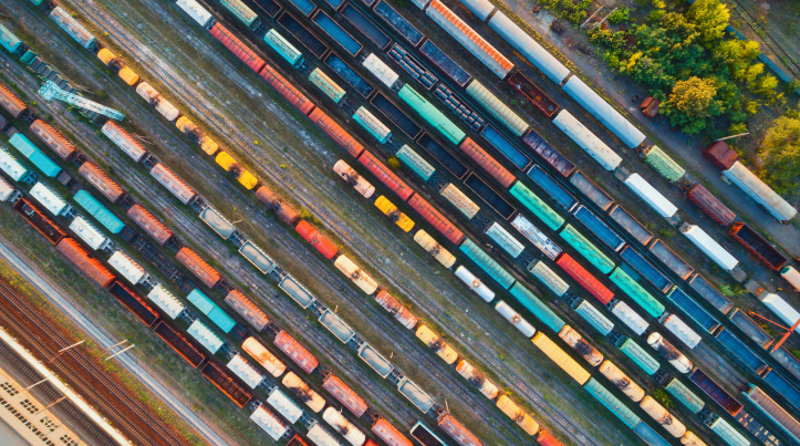 international trade consultant